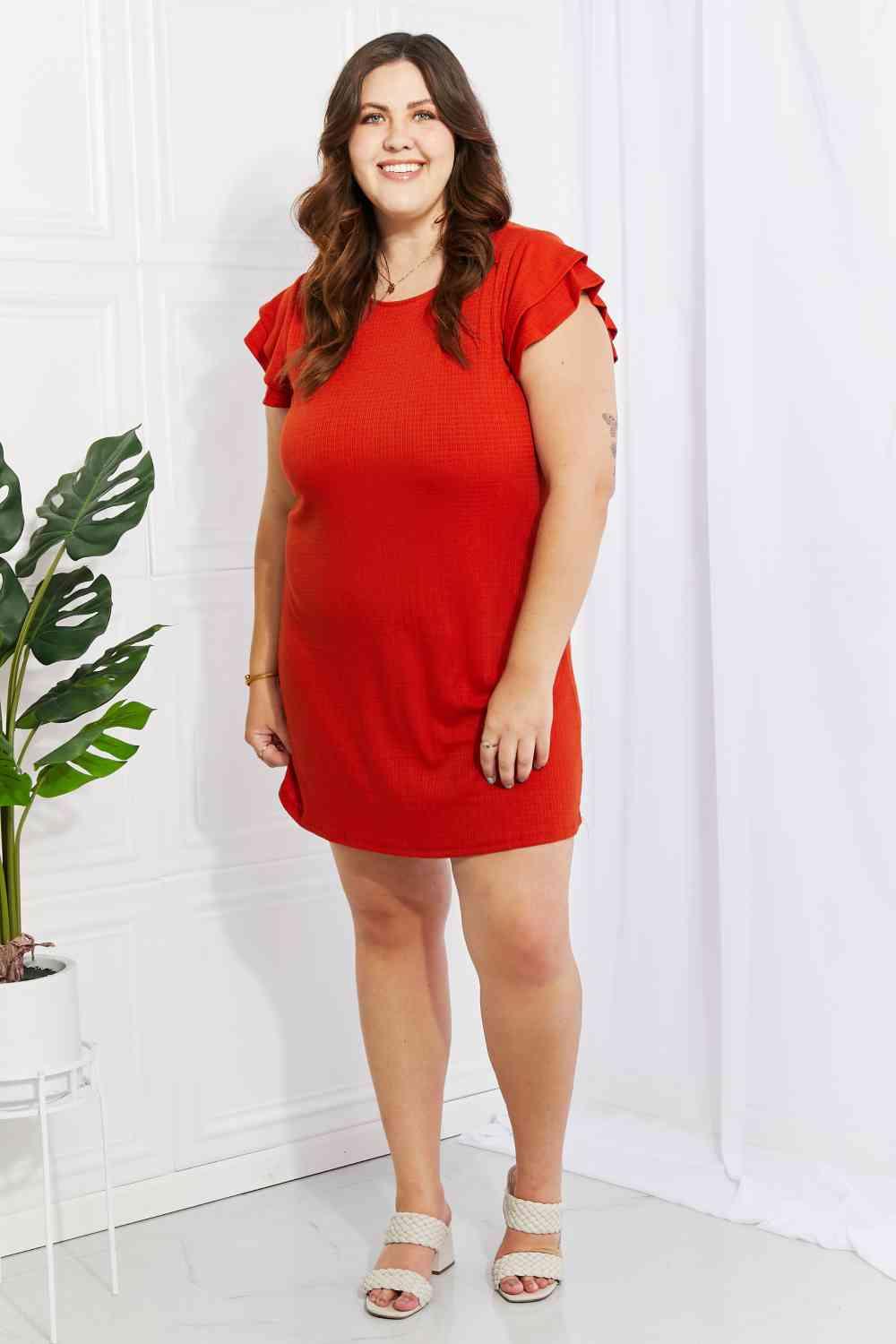 Zenana Living Life Full Size Layered Ruffle Sleeve Dress - Ash Boutique